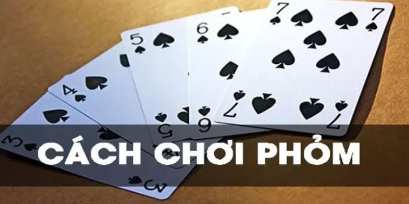 Cách chơi bài Phỏm mà newbie cần tìm hiểu kỹ