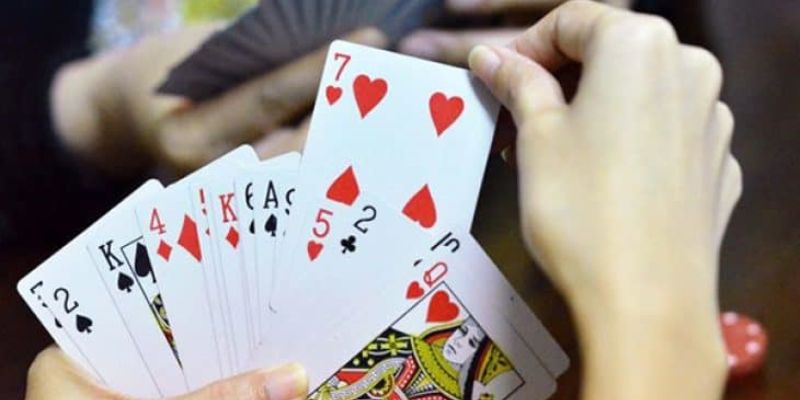 Cách chơi bài nói dối- câu hỏi khiến nhiều người băn khoăn