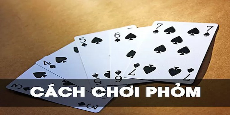 Cách đánh phỏm bịp và các dấu hiệu đi kèm