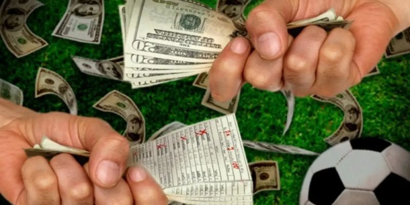 Cược đối đầu thành công nhờ những kinh nghiệm lão làng