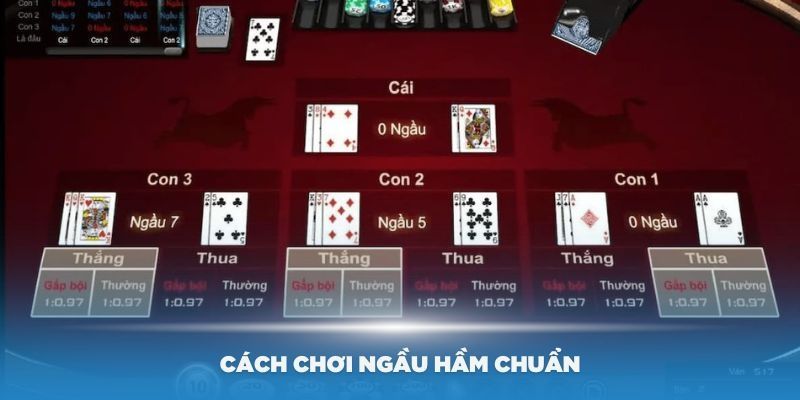 Quy luật chia bài trong ngầu hầm cần biết